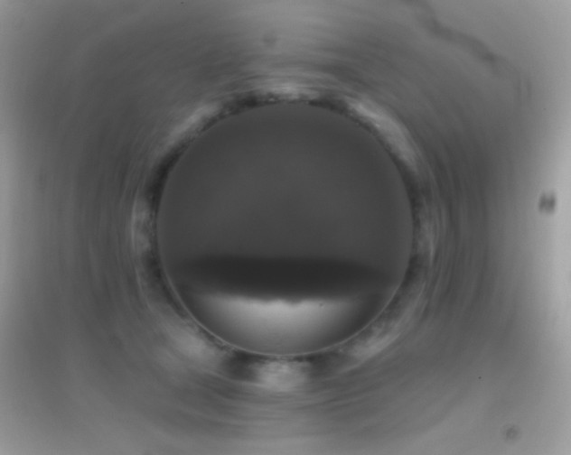 X0000095110465200712071221