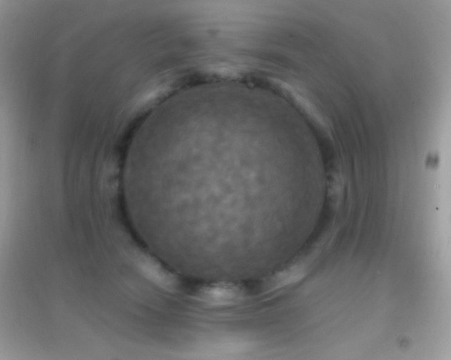 X0000095110466200712071221