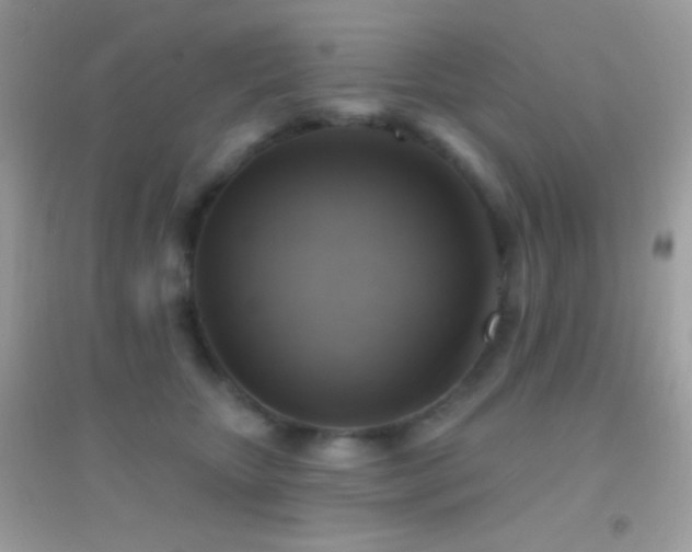 X0000095110467200712071221