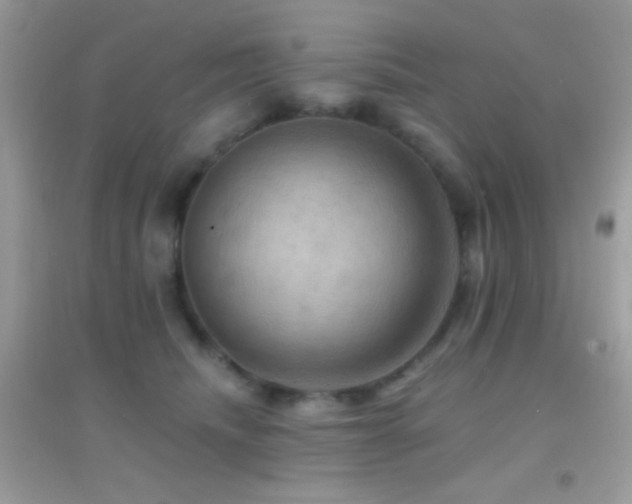 X0000095110468200712071221