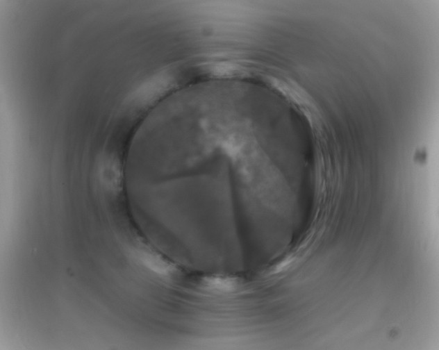 X0000095110469200712071221