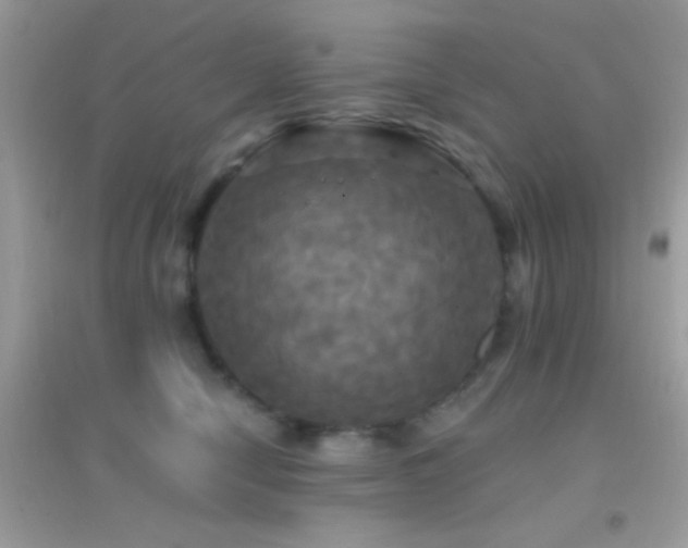 X0000095110470200712071221