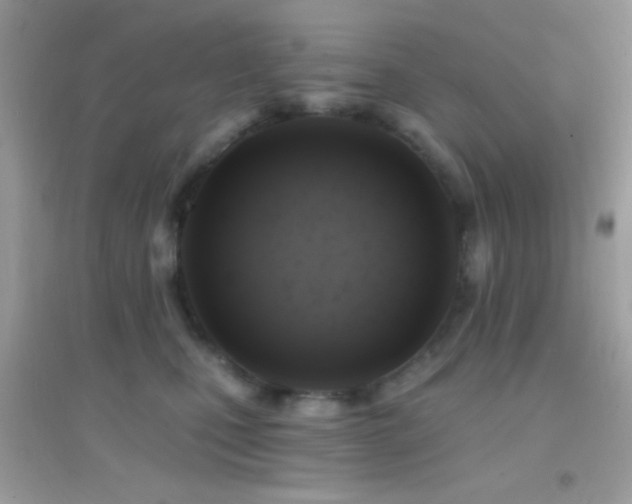 X0000095110471200712071221