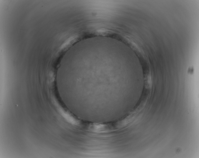 X0000095110472200712071221