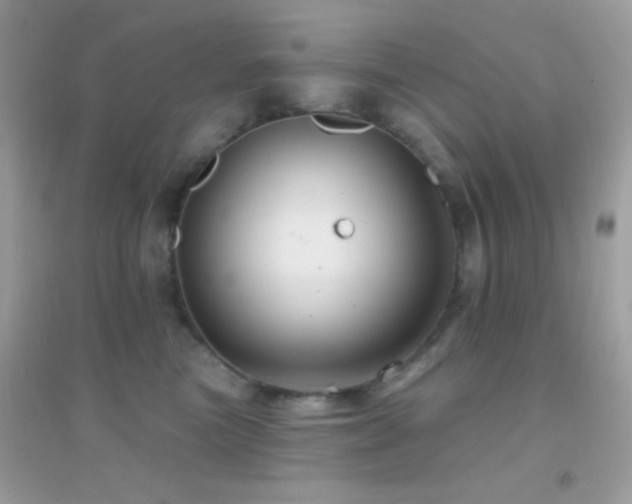 X0000095110473200712071221