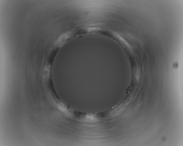 X0000095110475200712071221