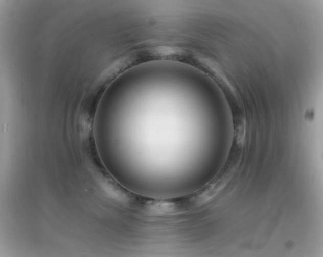 X0000095110476200712071221