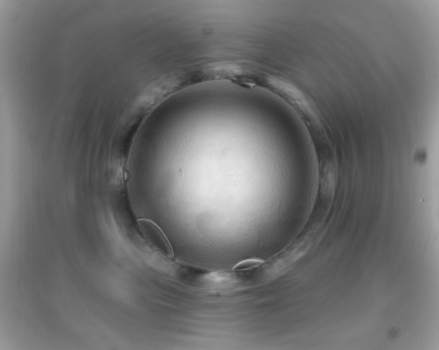 X0000095110477200712071221