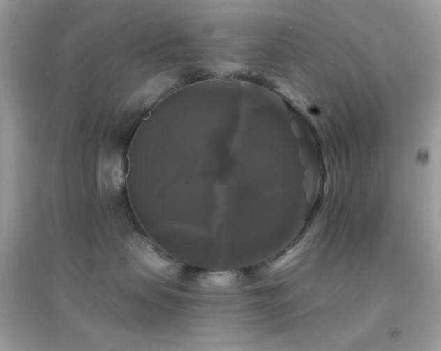 X0000095110479200712071221