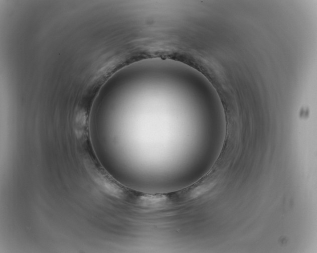 X0000095110480200712071221