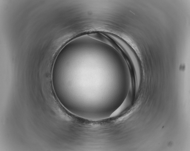 X0000095110481200712071221