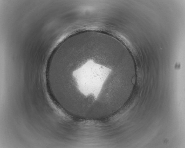 X0000095110482200712071221