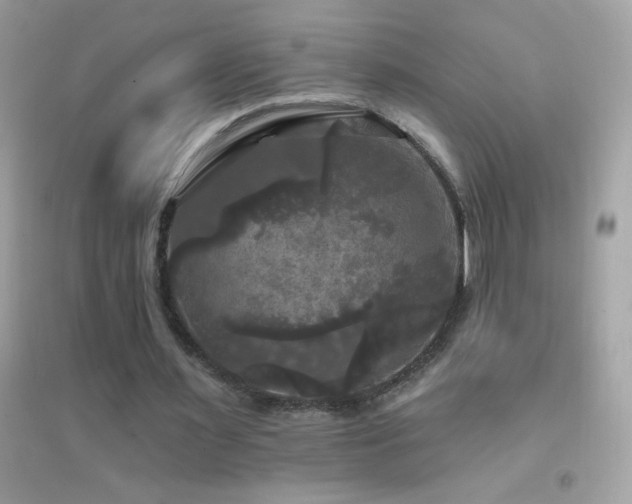 X0000095110483200712071221