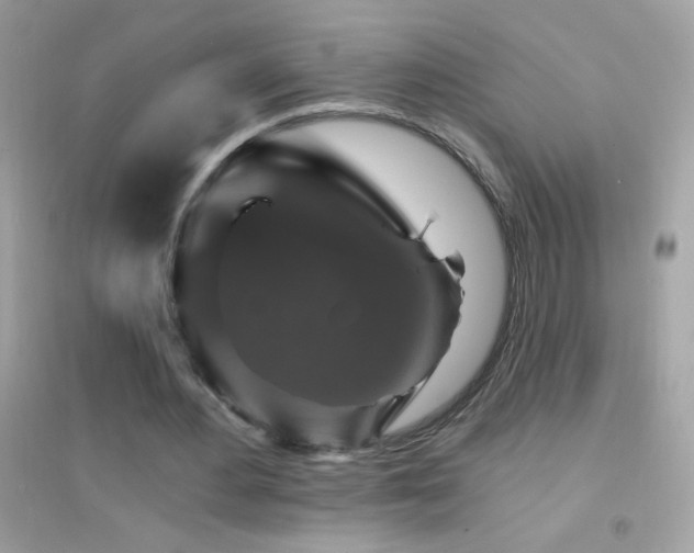 X0000095110484200712071221