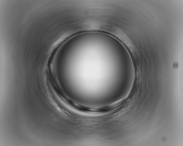 X0000095110485200712071221