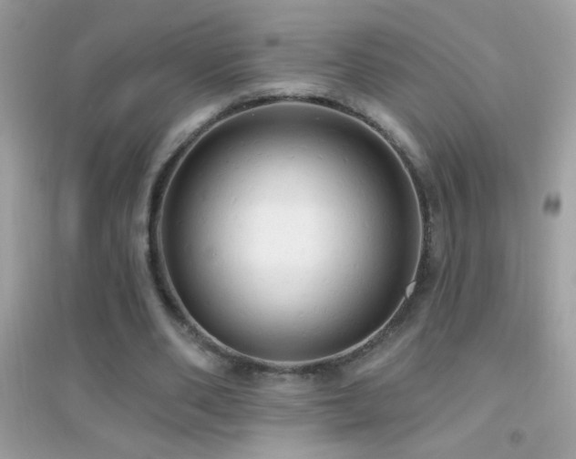 X0000095110486200712071221