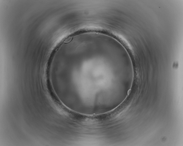 X0000095110487200712071221