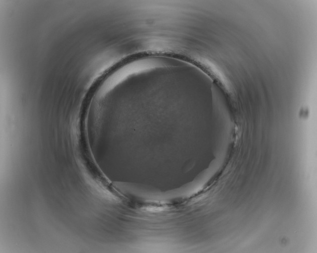 X0000095110488200712071221