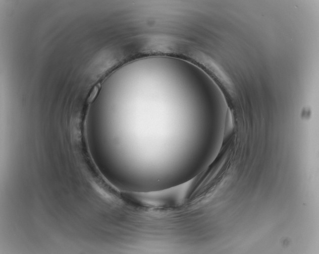 X0000095110489200712071221