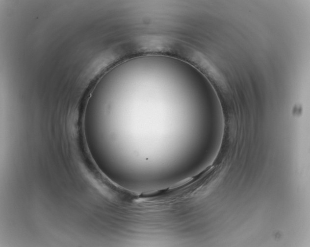 X0000095110490200712071221