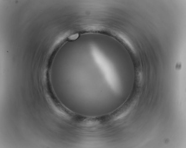 X0000095110491200712071221