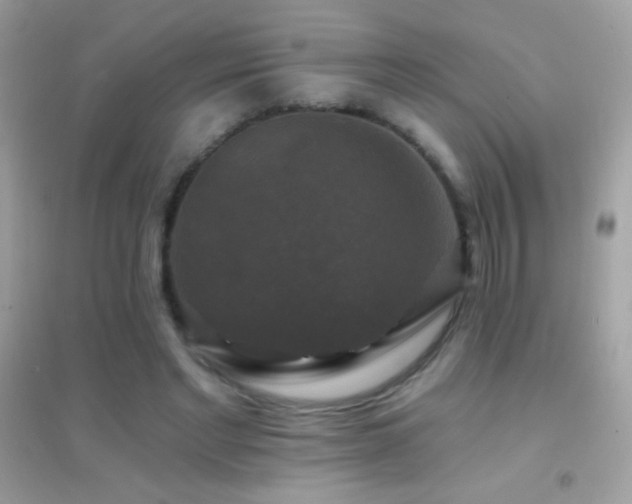 X0000095110493200712071220