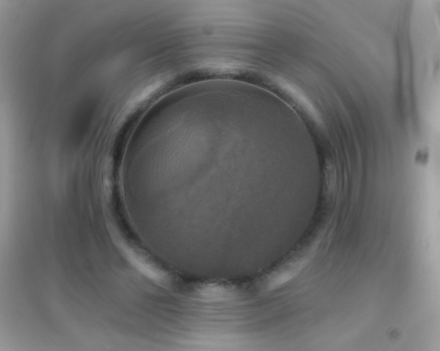 X0000095110494200712071220