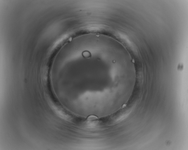 X0000095110495200712071220