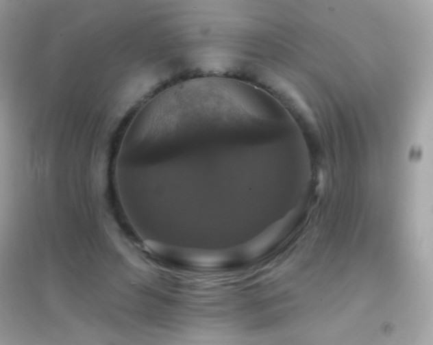 X0000095110496200712071220