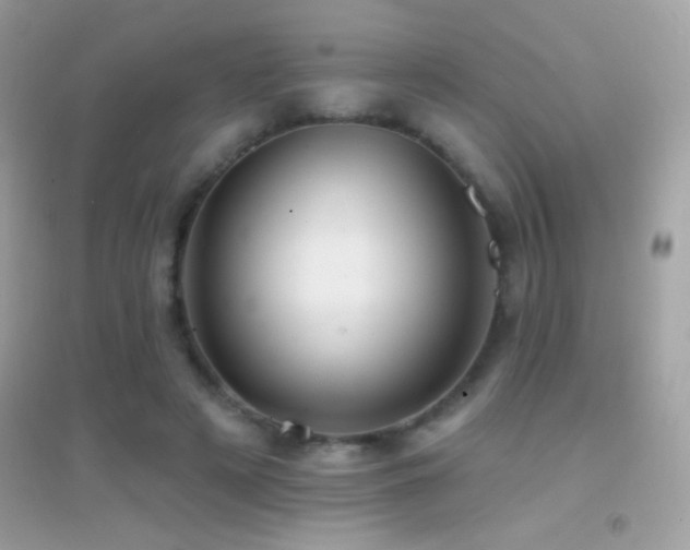 X0000095110497200712071220