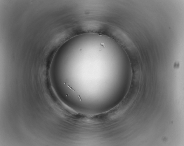 X0000095110498200712071220