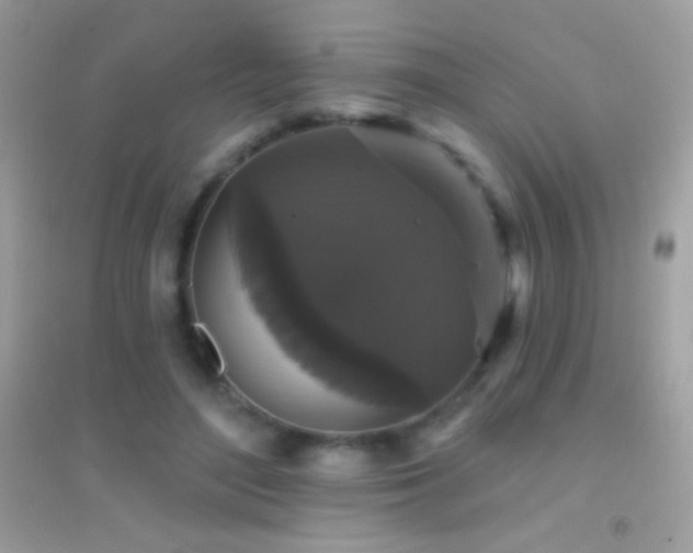 X0000095110500200712071220