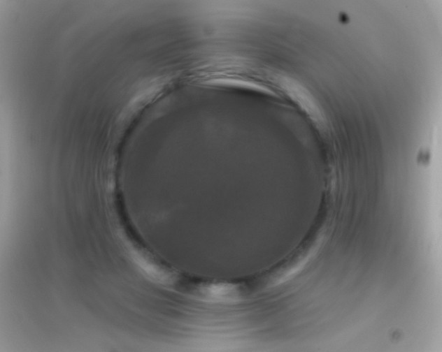 X0000095110501200712071220