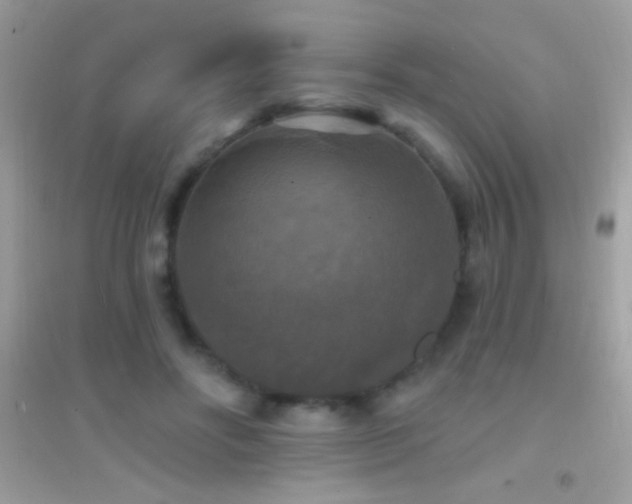 X0000095110502200712071220