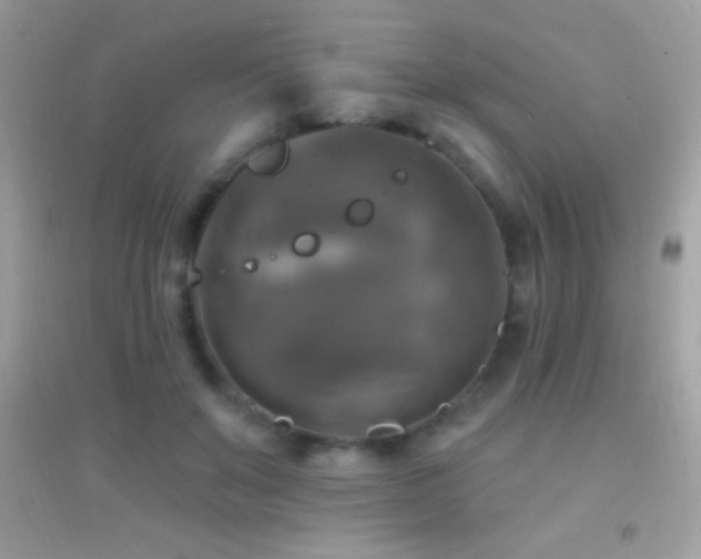 X0000095110503200712071220