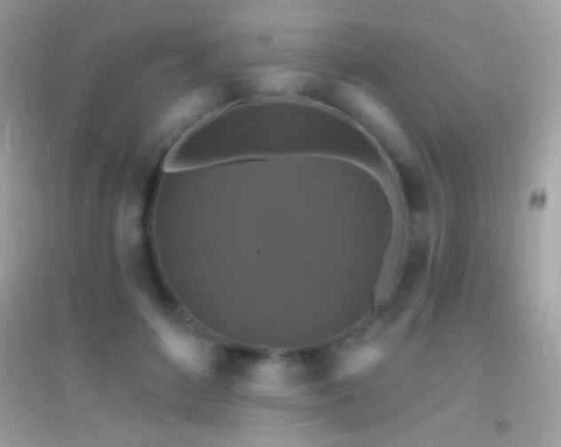 X0000095110504200712071220