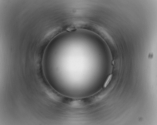 X0000095110505200712071220