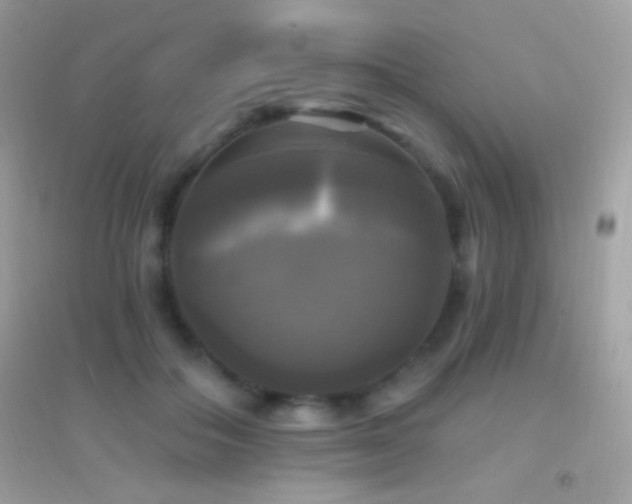 X0000095110506200712071220