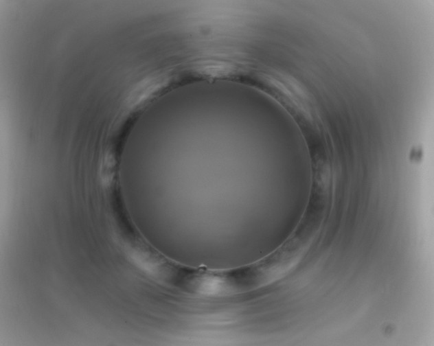 X0000095110507200712071220