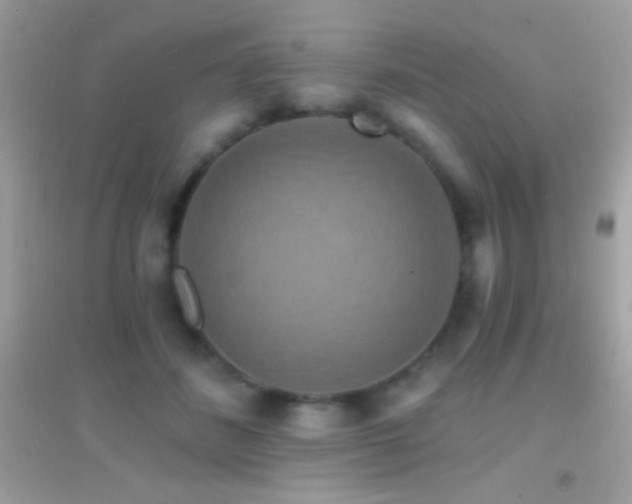 X0000095110508200712071220