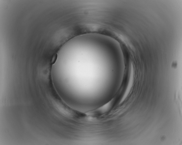 X0000095110509200712071220