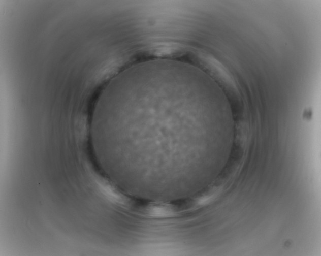 X0000095110510200712071220