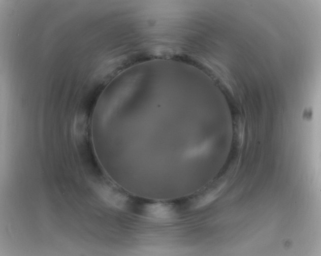 X0000095110511200712071220