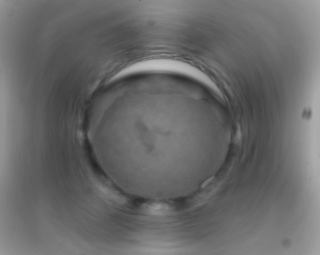 X0000095110512200712071220