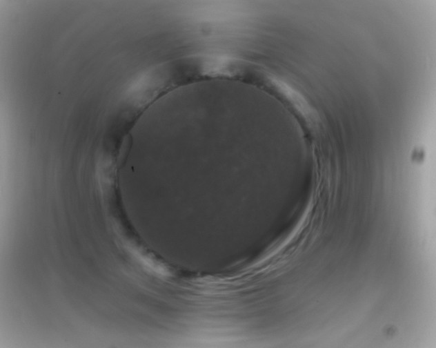 X0000095110513200712071220