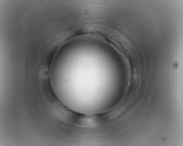 X0000095110514200712071220