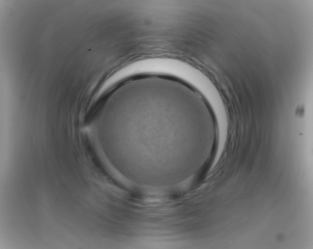 X0000095110516200712071220