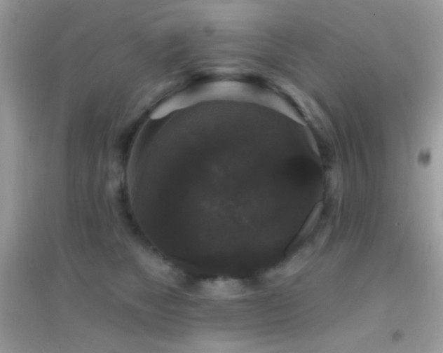 X0000095110517200712071220