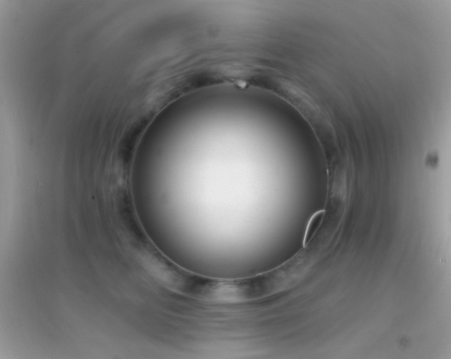 X0000095110518200712071220