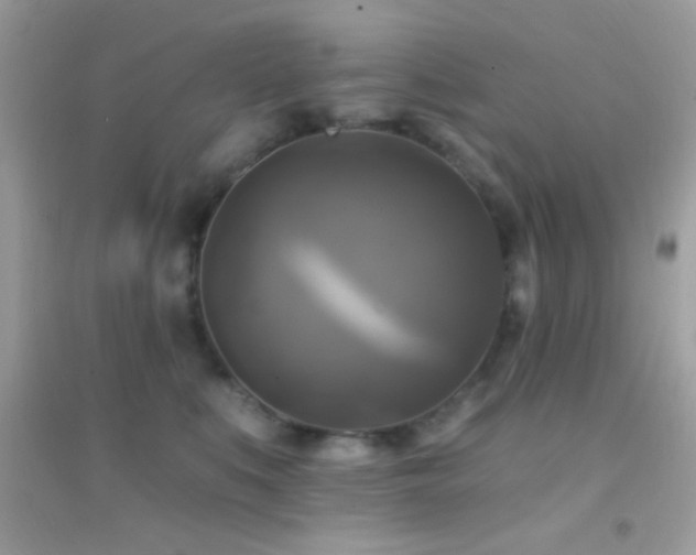 X0000095110519200712071220